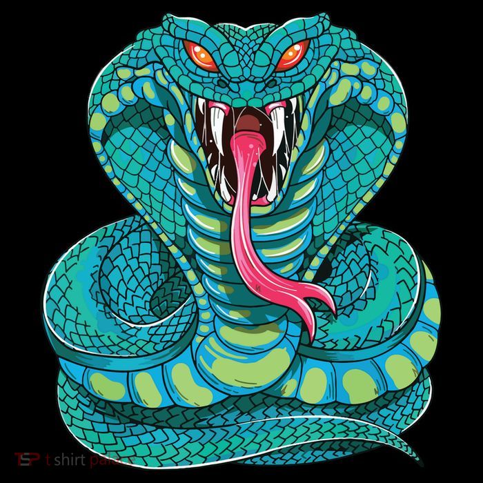 Fanged Cobra King Snake Fast Striking Fangs Bite Magnet