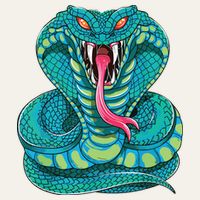 Fanged Cobra King Snake Fast Striking Fangs Bite Poster