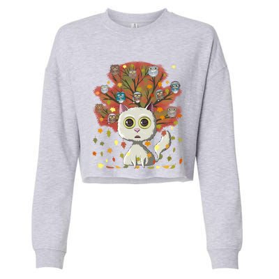 Funny Cute Kawaii Cat Owl Coffee Lover Autumn Leaves Fall Thanksgiving Cool Gift Cropped Pullover Crew