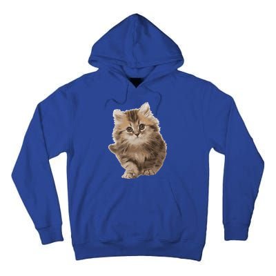 Fluffy Cute Kitten Nice Gift International Cat Day Great Gift Tall Hoodie