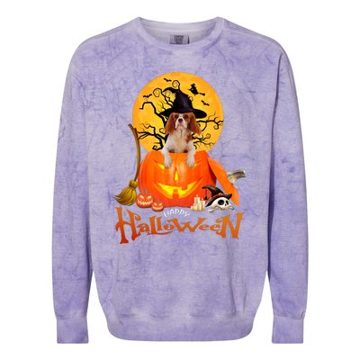 Funny Cavalier King Dog Spooky Halloween Colorblast Crewneck Sweatshirt