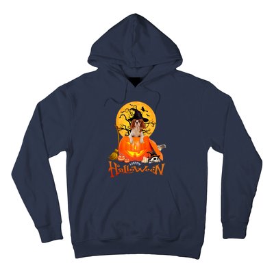 Funny Cavalier King Dog Spooky Halloween Hoodie