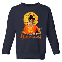 Funny Cavalier King Dog Spooky Halloween Toddler Sweatshirt