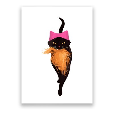 Funny Cat Ladies And Cat Guy Poster