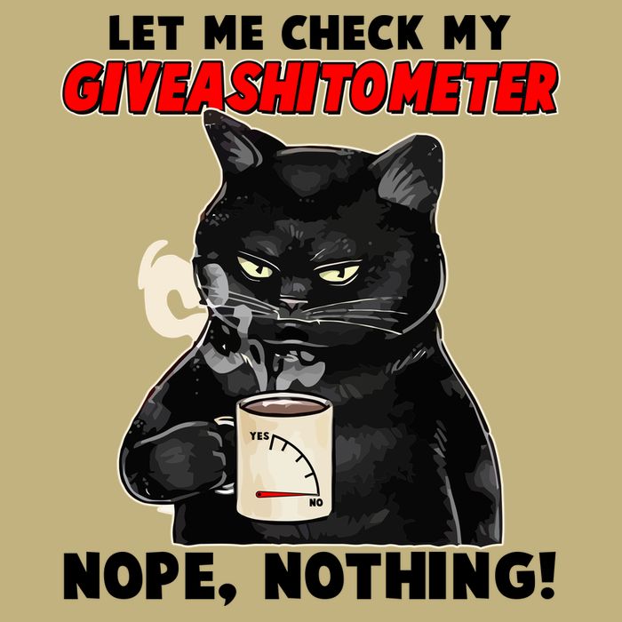 Funny Cat Let Me Check My GiveAShitOMeter Nope Nothing Hoodie