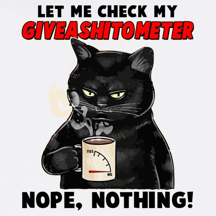 Funny Cat Let Me Check My GiveAShitOMeter Nope Nothing Garment-Dyed Sweatshirt