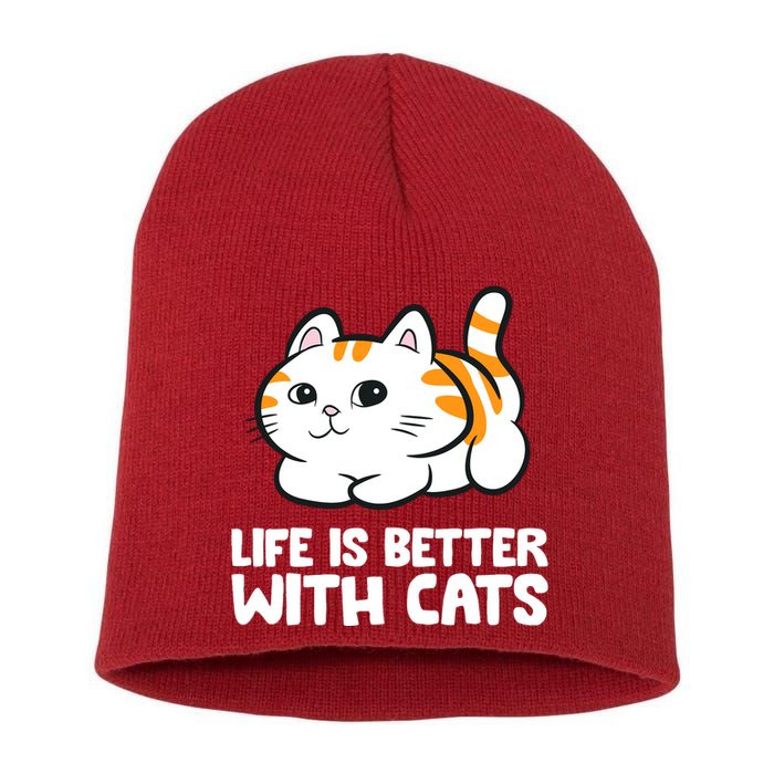 Funny Cat Lover Cute Kittens Life Is Better With Cats Short Acrylic Beanie