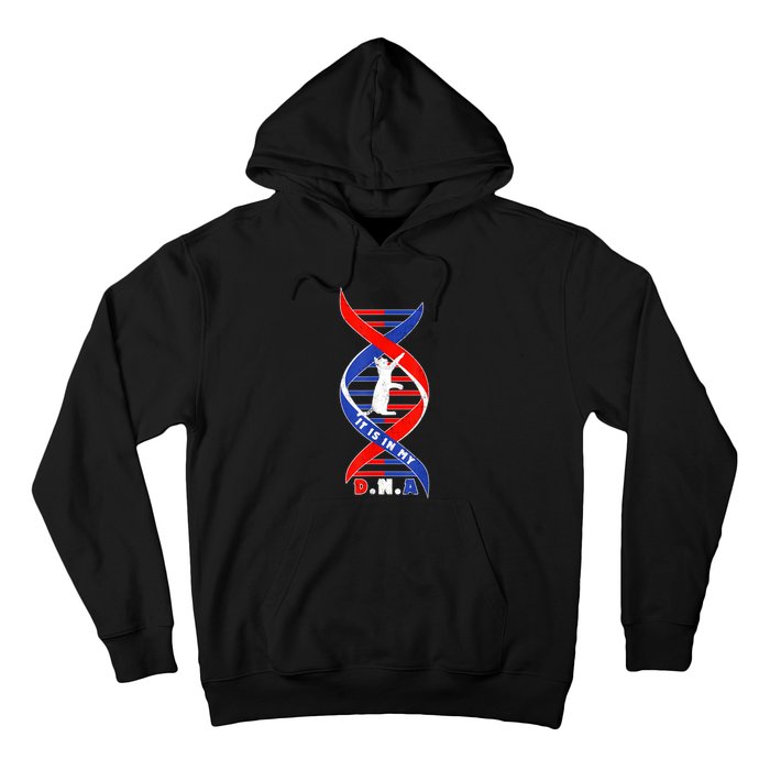 Funny Cat Lover T  Cat It In My Dna Hoodie