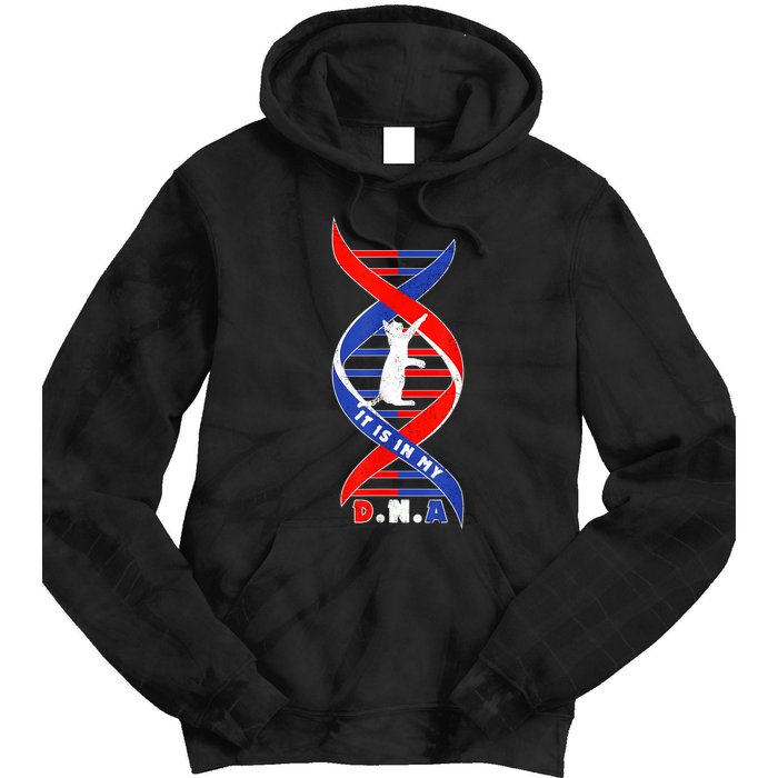 Funny Cat Lover T  Cat It In My Dna Tie Dye Hoodie