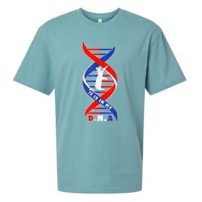 Funny Cat Lover T  Cat It In My Dna Sueded Cloud Jersey T-Shirt