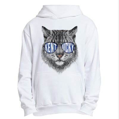 Funny Cat Lovers Graphic Last Name Kentucky Retro Vintage Urban Pullover Hoodie