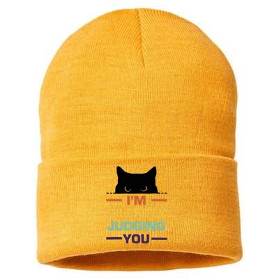 Funny Cats Lover I'm Silently Judging You Black Cat Sustainable Knit Beanie