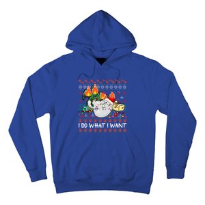 Funny Cat Lovers I Do What I Want Ugly Christmas Sweater Meaningful Gift Hoodie