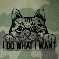 Funny Cat Lovers Retro 70s 80s 90s I Do What I Want Cat Legacy Tie Dye Trucker Hat