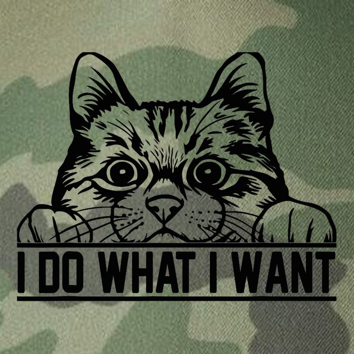 Funny Cat Lovers Retro 70s 80s 90s I Do What I Want Cat Legacy Tie Dye Trucker Hat