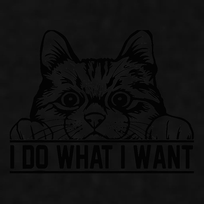 Funny Cat Lovers Retro 70s 80s 90s I Do What I Want Cat Ladies PosiCharge Tri-Blend Wicking Tank