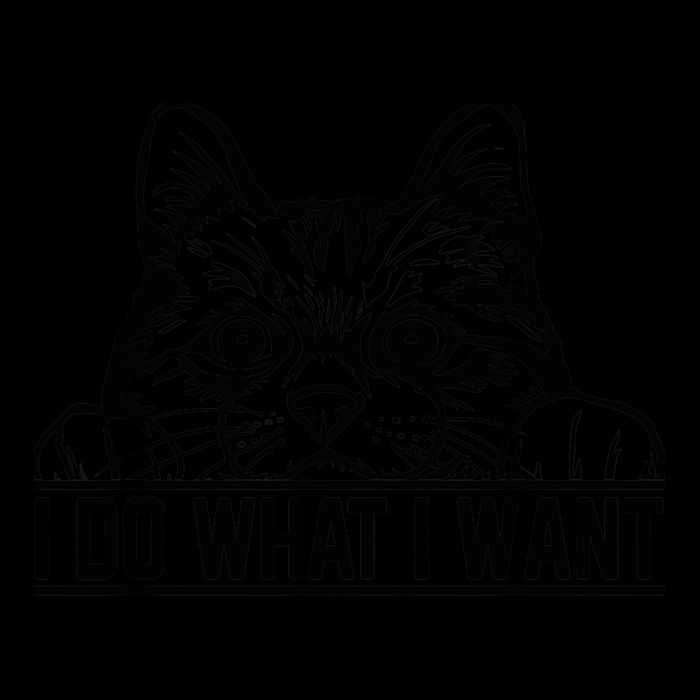 Funny Cat Lovers Retro 70s 80s 90s I Do What I Want Cat Tall Hoodie