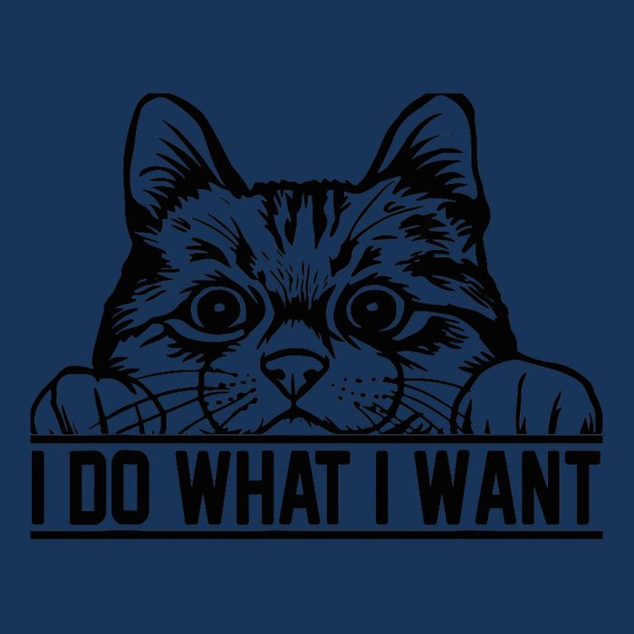 Funny Cat Lovers Retro 70s 80s 90s I Do What I Want Cat Infant Baby Jersey Bodysuit