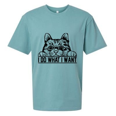 Funny Cat Lovers Retro 70s 80s 90s I Do What I Want Cat Sueded Cloud Jersey T-Shirt