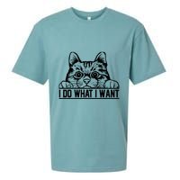 Funny Cat Lovers Retro 70s 80s 90s I Do What I Want Cat Sueded Cloud Jersey T-Shirt