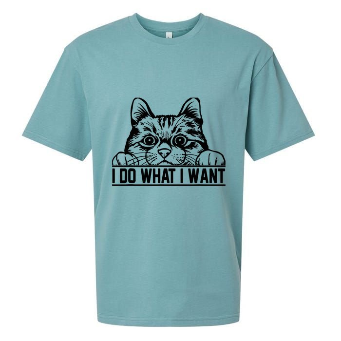 Funny Cat Lovers Retro 70s 80s 90s I Do What I Want Cat Sueded Cloud Jersey T-Shirt