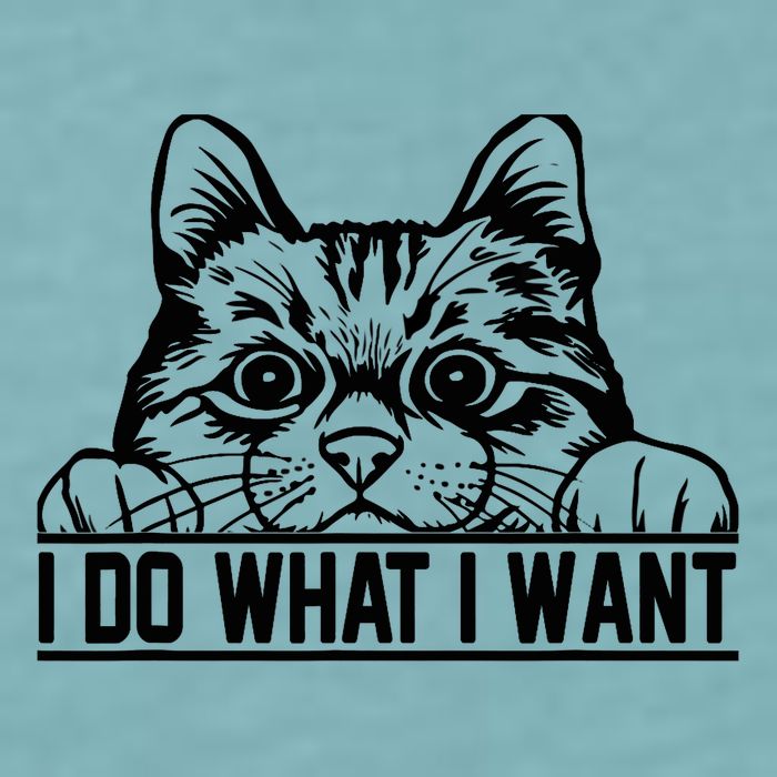 Funny Cat Lovers Retro 70s 80s 90s I Do What I Want Cat Sueded Cloud Jersey T-Shirt