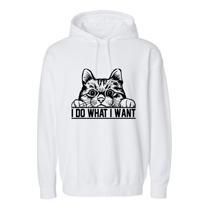 Funny Cat Lovers Retro 70s 80s 90s I Do What I Want Cat Garment-Dyed Fleece Hoodie
