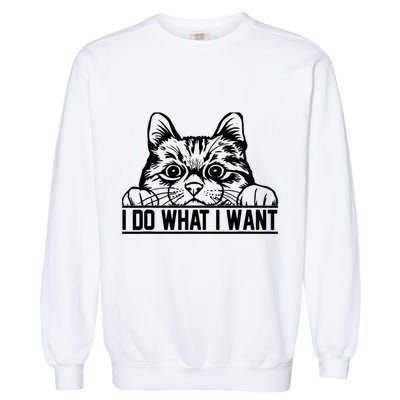 Funny Cat Lovers Retro 70s 80s 90s I Do What I Want Cat Garment-Dyed Sweatshirt