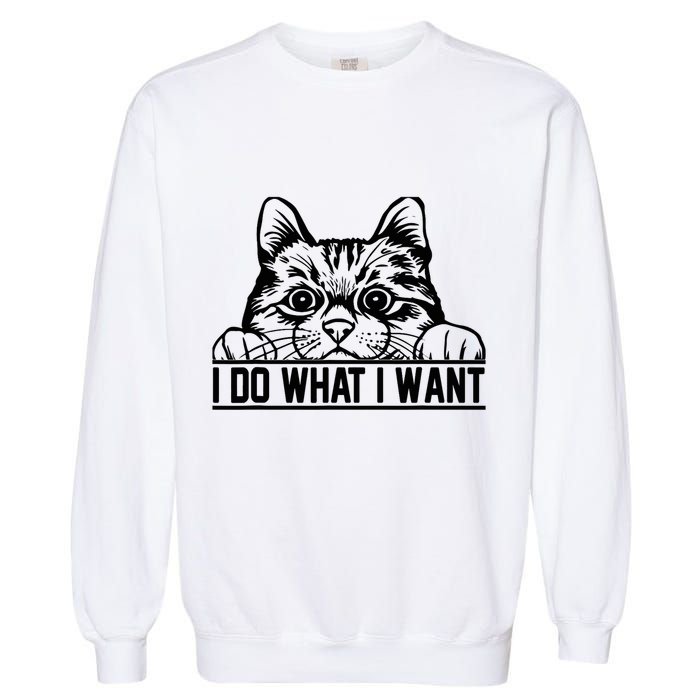 Funny Cat Lovers Retro 70s 80s 90s I Do What I Want Cat Garment-Dyed Sweatshirt