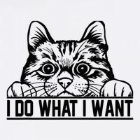 Funny Cat Lovers Retro 70s 80s 90s I Do What I Want Cat Garment-Dyed Sweatshirt