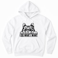 Funny Cat Lovers Retro 70s 80s 90s I Do What I Want Cat Hoodie