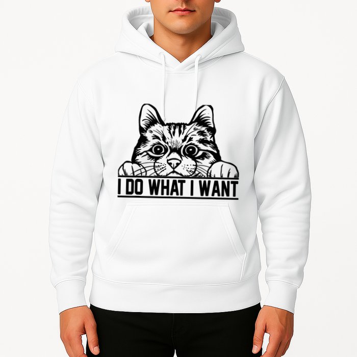 Funny Cat Lovers Retro 70s 80s 90s I Do What I Want Cat Hoodie