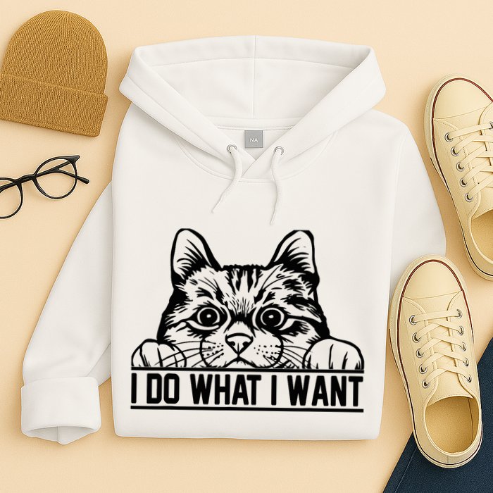 Funny Cat Lovers Retro 70s 80s 90s I Do What I Want Cat Hoodie