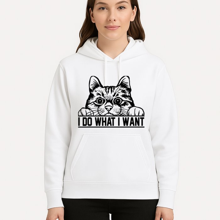 Funny Cat Lovers Retro 70s 80s 90s I Do What I Want Cat Hoodie
