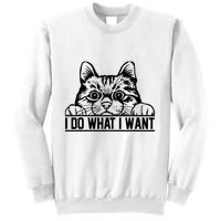 Funny Cat Lovers Retro 70s 80s 90s I Do What I Want Cat Sweatshirt