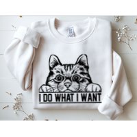 Funny Cat Lovers Retro 70s 80s 90s I Do What I Want Cat Sweatshirt