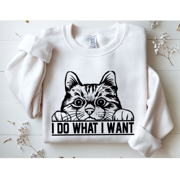 Funny Cat Lovers Retro 70s 80s 90s I Do What I Want Cat Sweatshirt