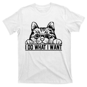 Funny Cat Lovers Retro 70s 80s 90s I Do What I Want Cat T-Shirt