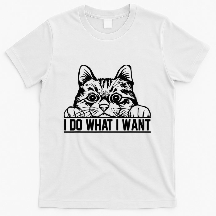 Funny Cat Lovers Retro 70s 80s 90s I Do What I Want Cat T-Shirt