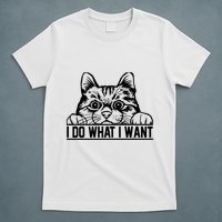 Funny Cat Lovers Retro 70s 80s 90s I Do What I Want Cat T-Shirt