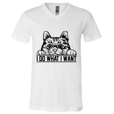 Funny Cat Lovers Retro 70s 80s 90s I Do What I Want Cat V-Neck T-Shirt