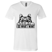 Funny Cat Lovers Retro 70s 80s 90s I Do What I Want Cat V-Neck T-Shirt