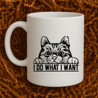 Funny Cat Lovers Retro 70s 80s 90s I Do What I Want Cat Mug