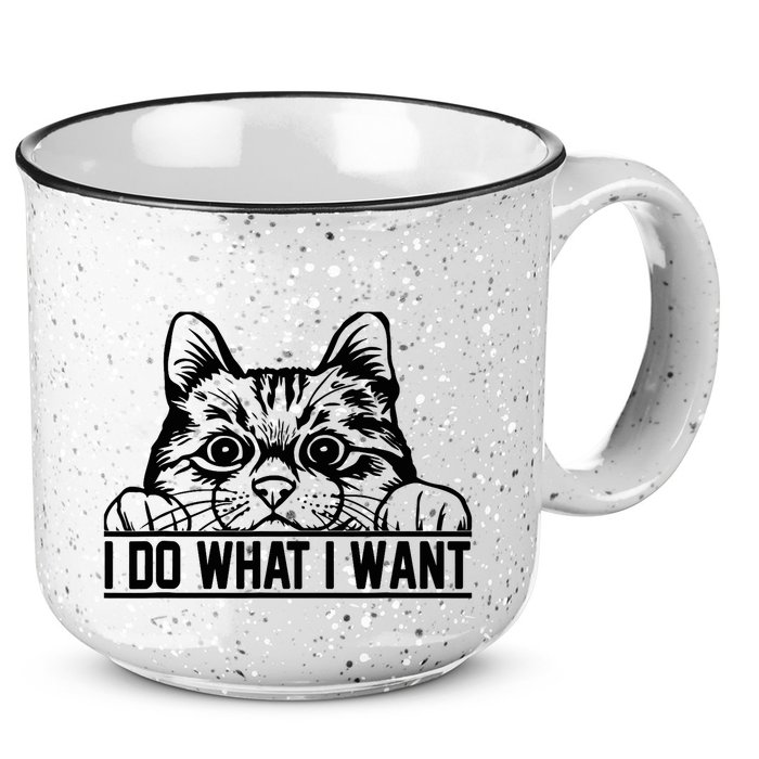 Funny Cat Lovers Retro 70s 80s 90s I Do What I Want Cat 15oz Campfire Ceramic Mug
