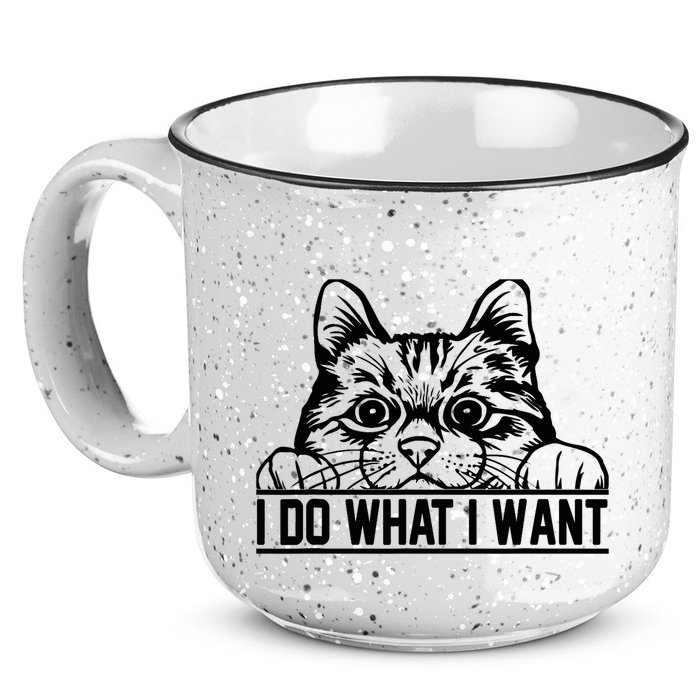 Funny Cat Lovers Retro 70s 80s 90s I Do What I Want Cat 15oz Campfire Ceramic Mug