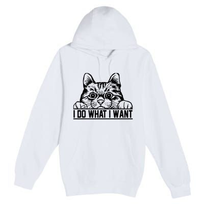 Funny Cat Lovers Retro 70s 80s 90s I Do What I Want Cat Premium Pullover Hoodie