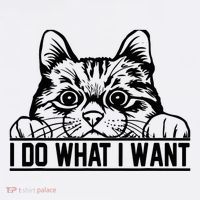 Funny Cat Lovers Retro 70s 80s 90s I Do What I Want Cat Mesh Reversible Basketball Jersey Tank