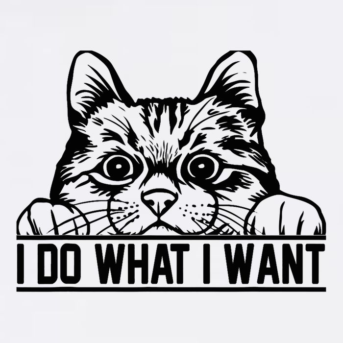 Funny Cat Lovers Retro 70s 80s 90s I Do What I Want Cat Youth Performance Sprint T-Shirt