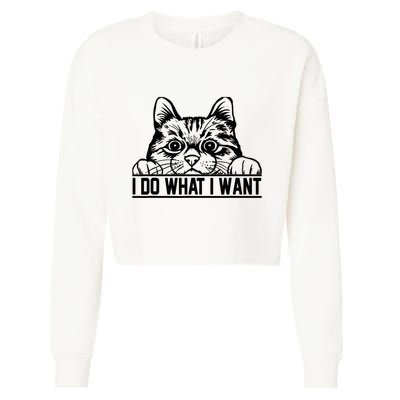 Funny Cat Lovers Retro 70s 80s 90s I Do What I Want Cat Cropped Pullover Crew