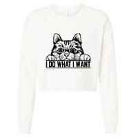 Funny Cat Lovers Retro 70s 80s 90s I Do What I Want Cat Cropped Pullover Crew